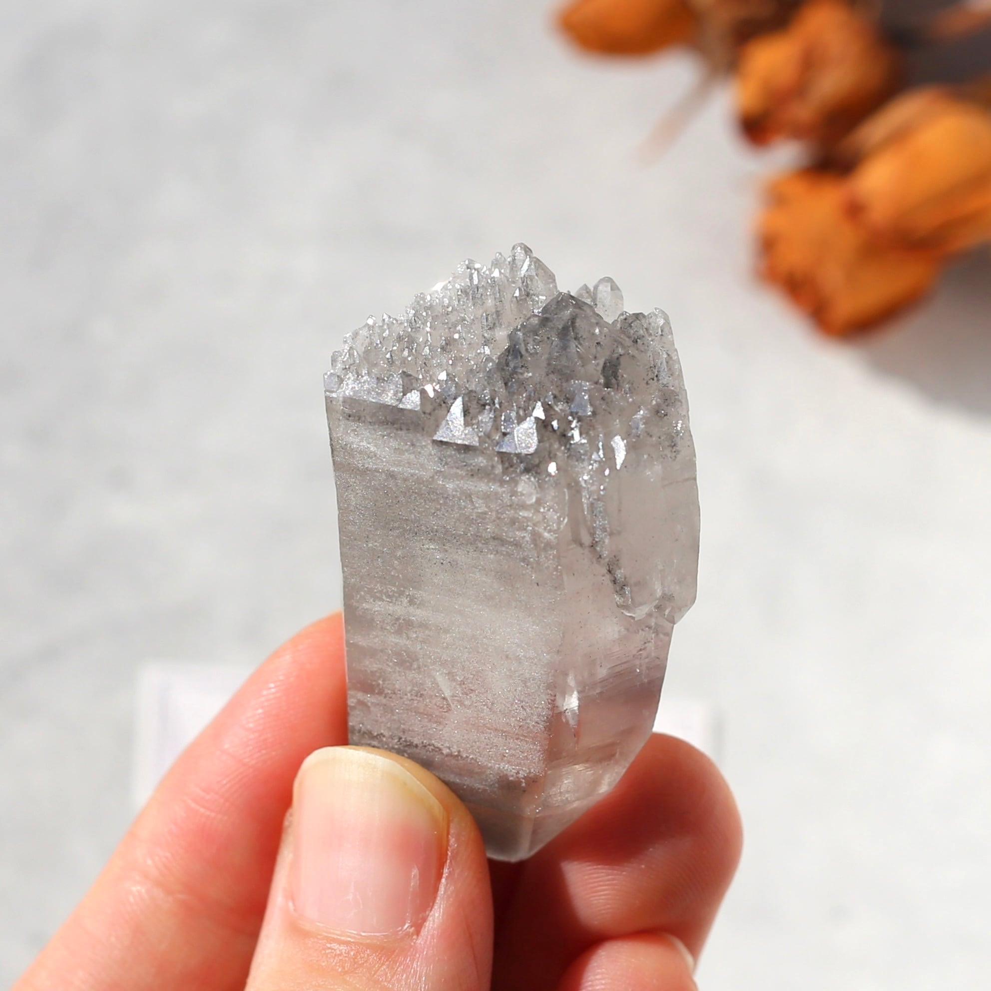 希少！ブラックレムリアンシード 天然石 水晶 鉱物 一点物 クォーツ