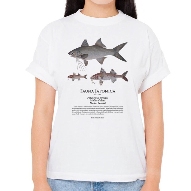 【ツバメコノシロ・ヒメジ】シーボルトコレクション魚譜Tシャツ（高解像・昇華プリント）