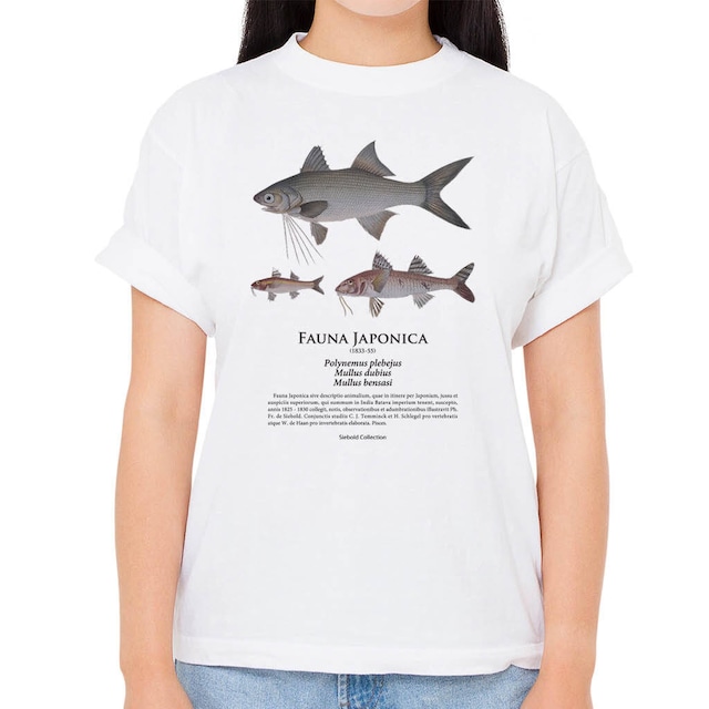 【ツバメコノシロ・ヒメジ】シーボルトコレクション魚譜Tシャツ（高解像・昇華プリント）