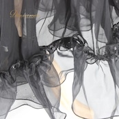 社交ダンス 衣装 スタンダード スカート オーバースカート レッスンウェア Leirena レイリーナ ブラック系 レース フリル 黒 無地 パニエ シフォン 軽やか エレガント ダンスウェア おしゃれ フレア ボリューム シルエット カジュアル 舞台衣装 日常使い 伸縮性 吸湿性 通気性 シンプル 上品 コーディネート 着回し お手入れ簡単