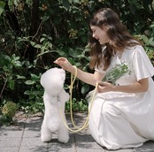 [予約販売] [STROLL] Rope collar-Lemon  首輪