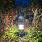 PETROMAX 828 HK 350 CP 1950-60年代 ドミノレバー ビンテージランタン