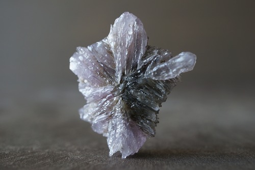 スターアラゴナイト Star Aragonite 970