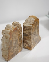 OAK Petrified Wood - Book End #007 ：Natural｜珪化木／一点もの／静かな重み