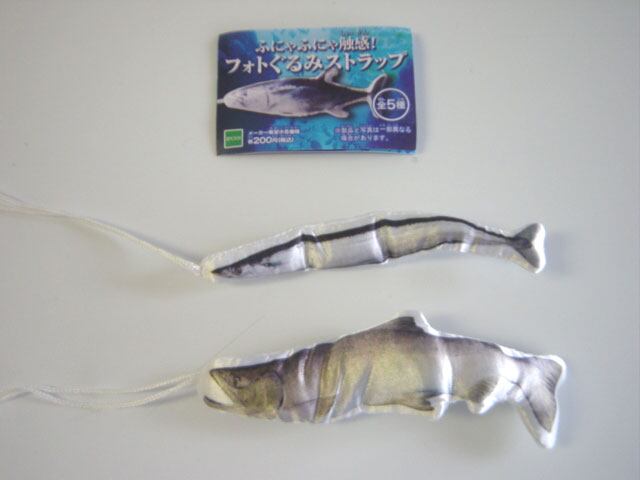 ☆Gfg23GzデジタルグレードDG熱帯魚フルコンプ全15種 | フィギュア