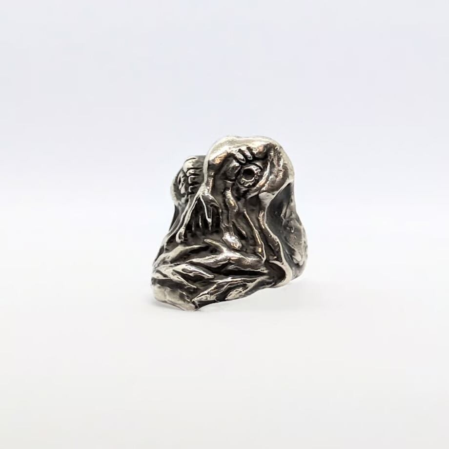 ゴジラ 黒銀Ver ゴジラ 対 harakiri ゴジラ VSゴジラ haraKIRI godzilla ring Silver Jewelry 平成ゴジラ