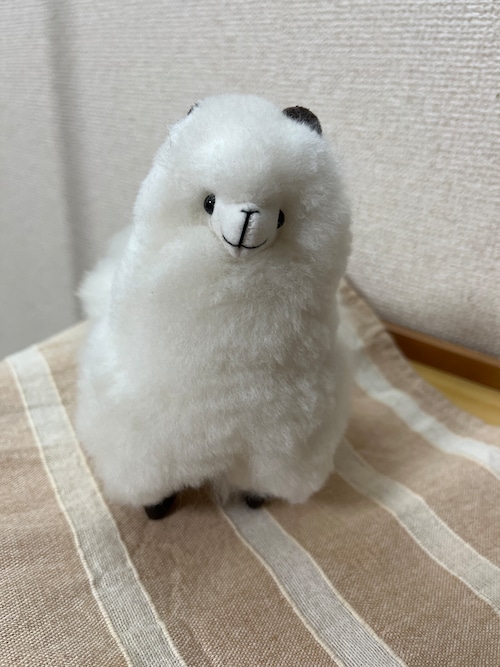 15cm ベビーアルパカ純毛人形　スノーホワイト
