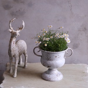 mondimanche ブリキ植木鉢　シャビーハンドルカップS W　UF655|１ポット植え込みのシャビーシックな鉢　お玄関がオシャレに変わります