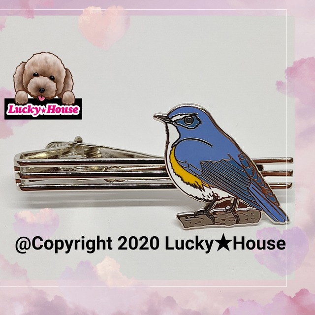 送料無料 野鳥グッズ ルリビタキ ネクタイピン タイバー 鳥 動物 野生 かっこいい おしゃれ 可愛い 自然 バードウォッチング ハイキング 山 川 海 野鳥の会 Lucky House S Ownd 送料無料 野鳥グッズ ルリビタキ ネクタイピン タイバー 鳥 動物 野生 かっこいい おしゃれ 可愛い 自然 バードウォッチング ハイキング 山 川 海 野鳥の会 Lucky House S Ownd