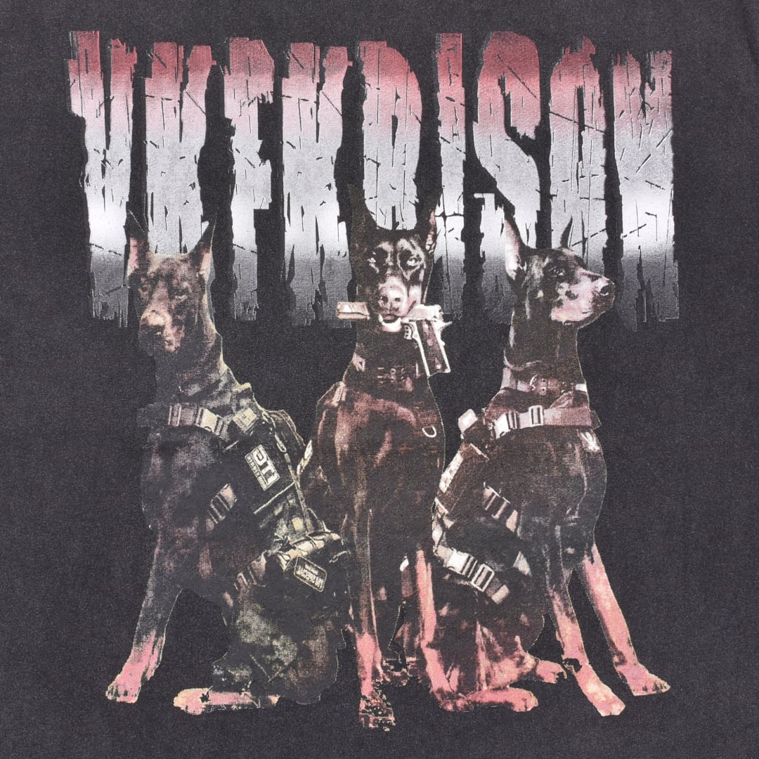 50%OFF】WASH DOBER BIG Tシャツ | VOLCAN&APHRODITE 公式通販