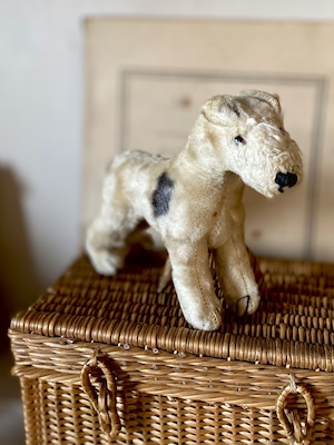 シュタイフ テリア Foxy