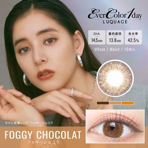 エバーカラー ワンデー ルクアージュ(Ever Color 1day LUQUAGE)《FOGGY CHOCOLAT》フォギーショコラ[10枚入り]