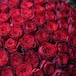 【赤バラの花束　100本】花言葉は『100％の愛』、感動のプロポーズに。