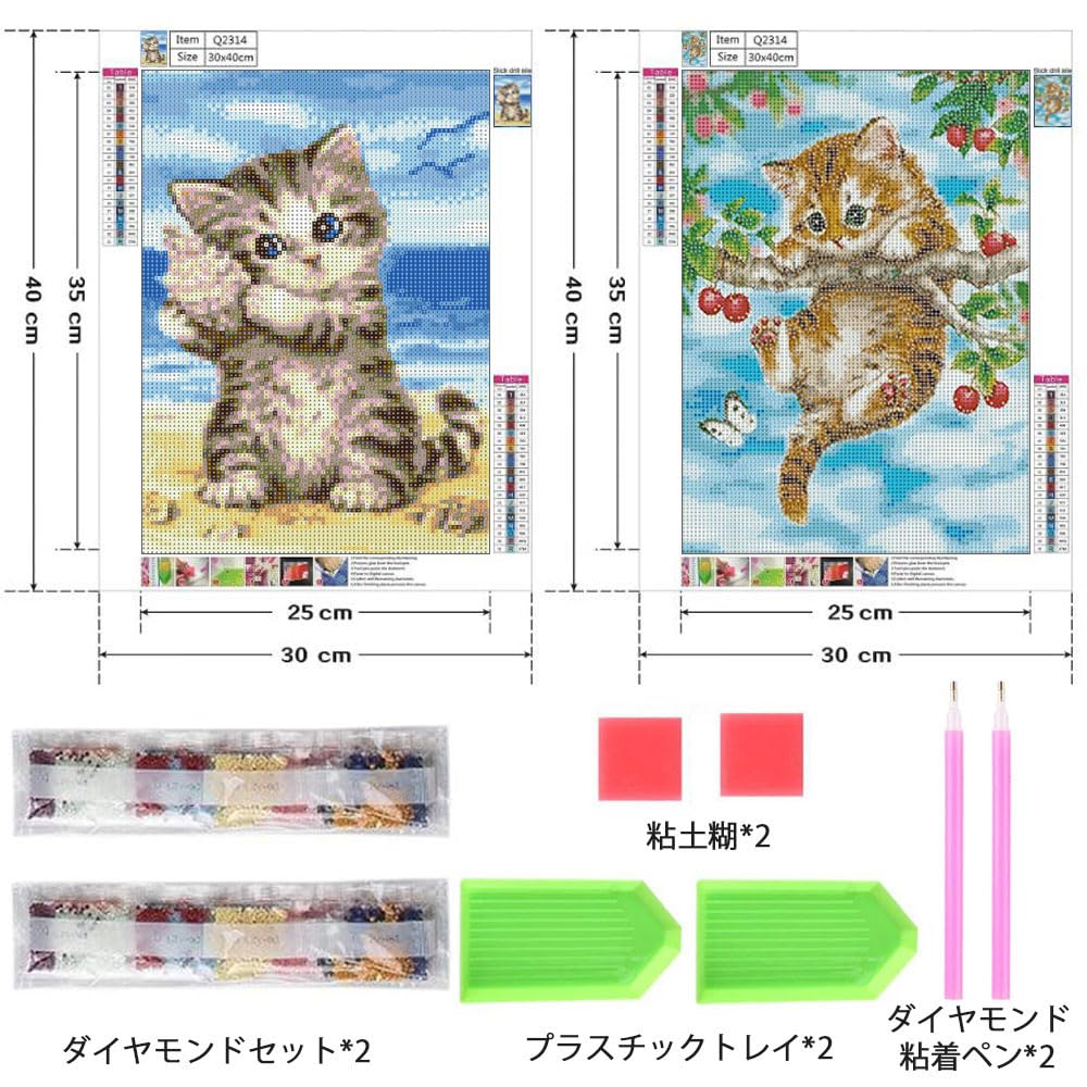 サムコス ダイヤモンドアート キット ダイヤモンドの絵画 2個セット