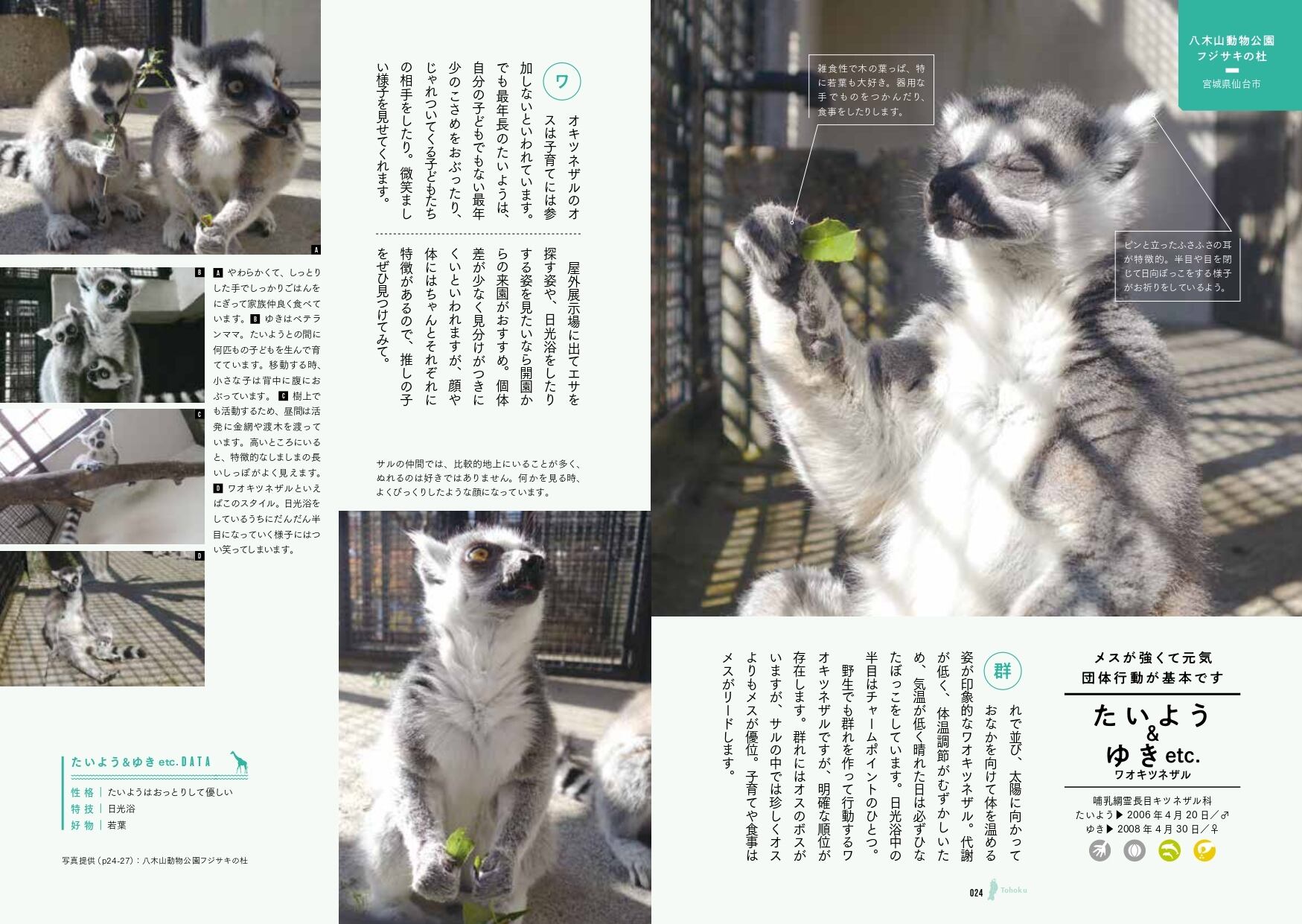 動物園めぐり シーズン2 | GB e-shop