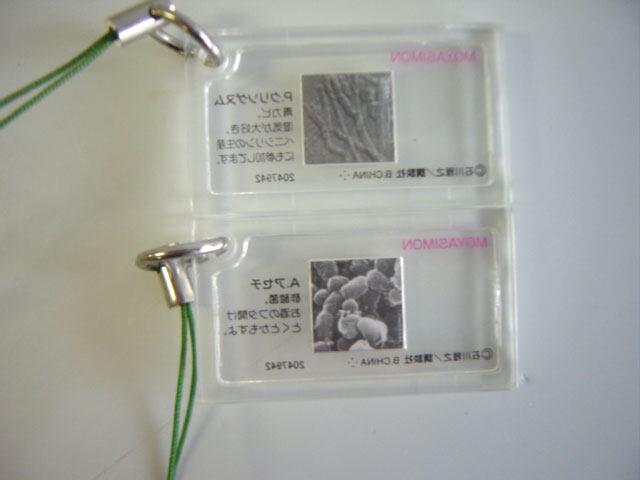 未開封　ヒストリープロモ　日本語版　コンプリート　15枚　セット ♯Hgg21QCもやしもんプレパラートでもやしもん人気2種 | Pay ID