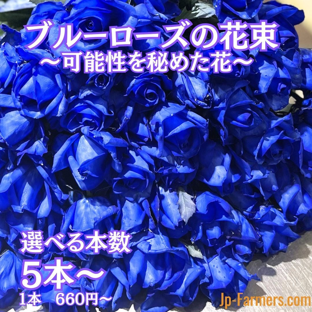 FINEROSE ☆バラ 品種名： ラプソディ 大輪系のライラックバラ