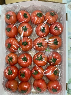 新鮮桃太郎春トマト　２４個　袋入り　４㎏以上　３３００円