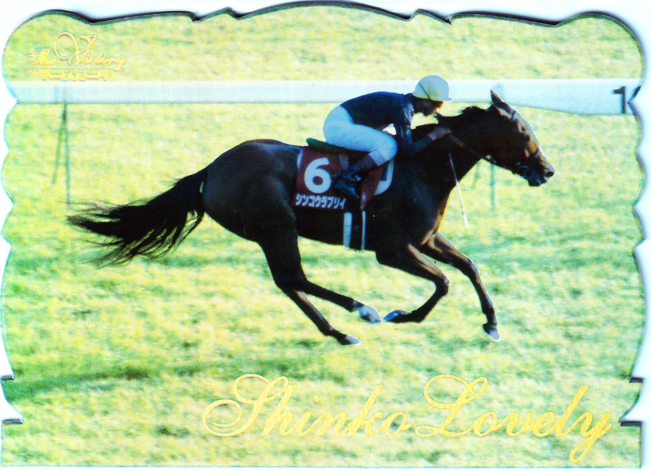 シンコウラブリイ(ダイカットセルダム)「The Victory 1999」No.22 | Pay ID