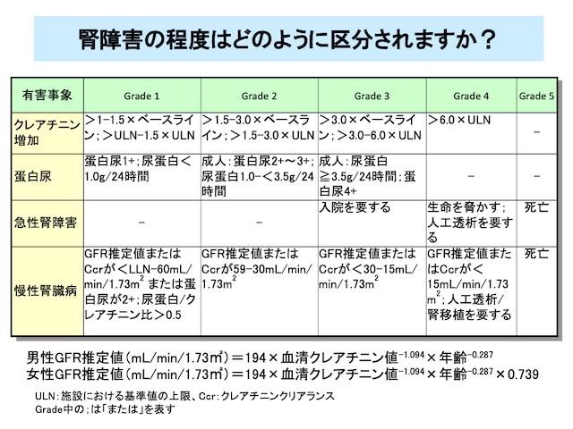 がん化学療法の副作用対策入門