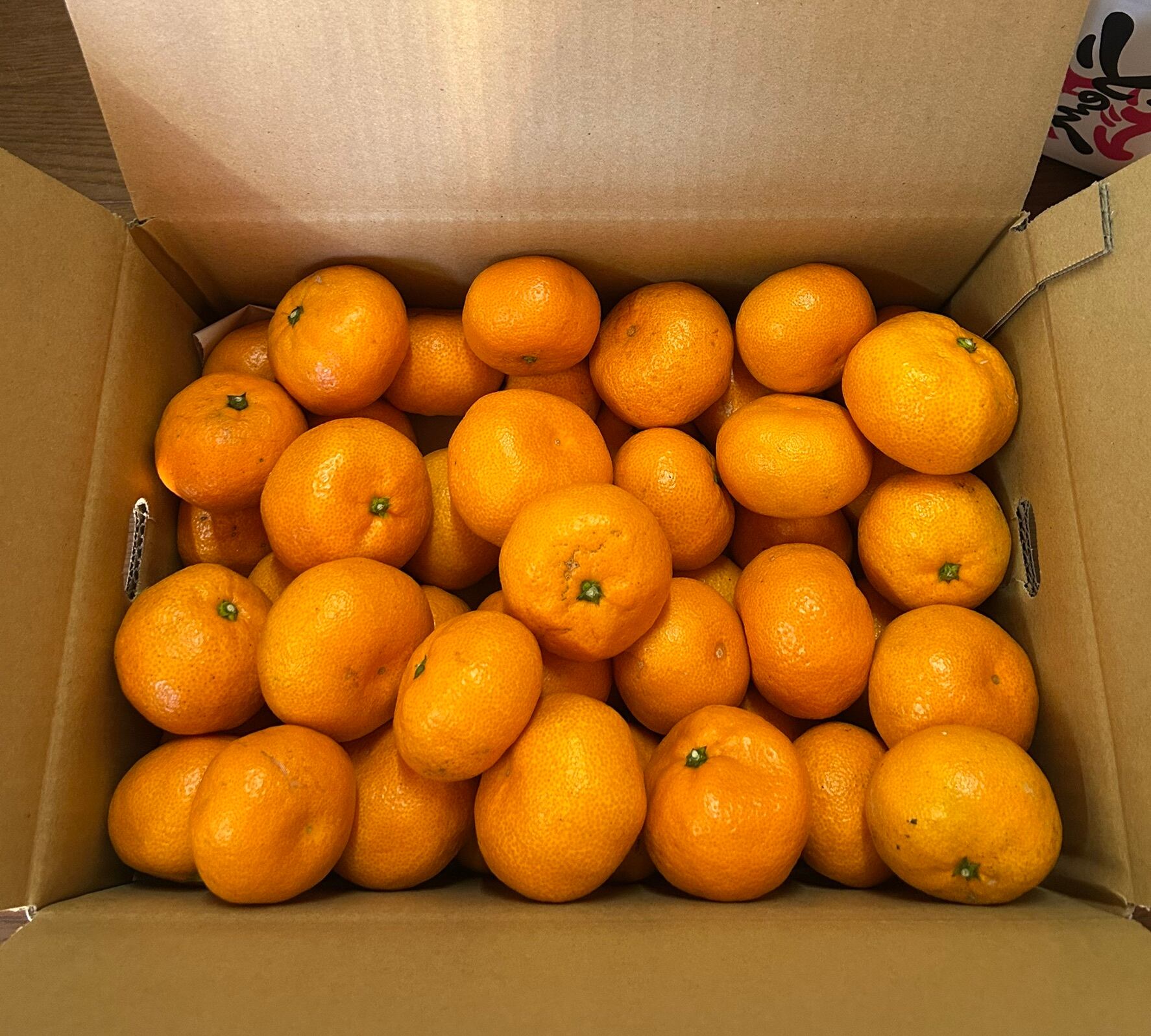 渡江産 みかん 5kg【家庭用】 | 未完商店