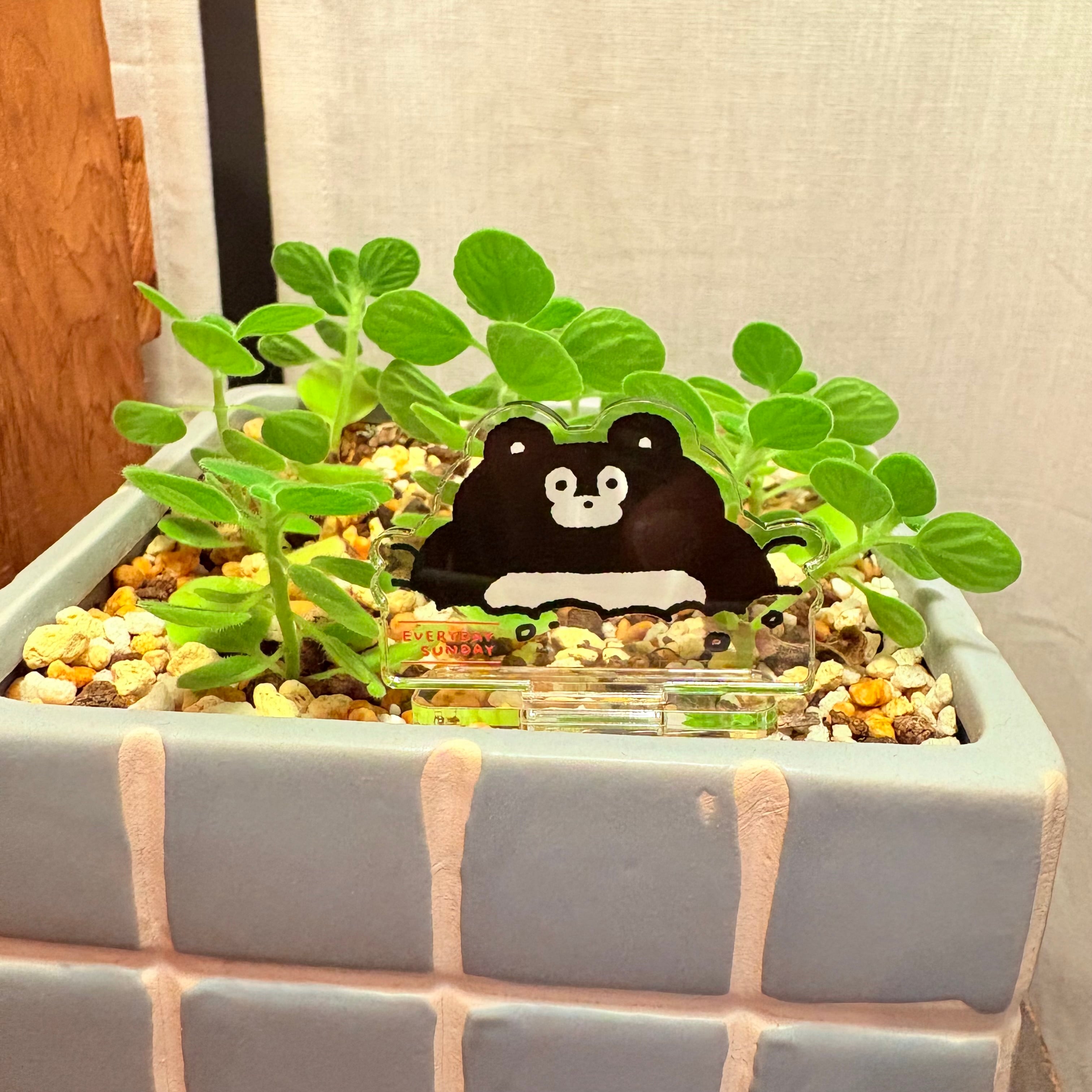 まーくんアクスタ | EVERYDAYSUNDAY