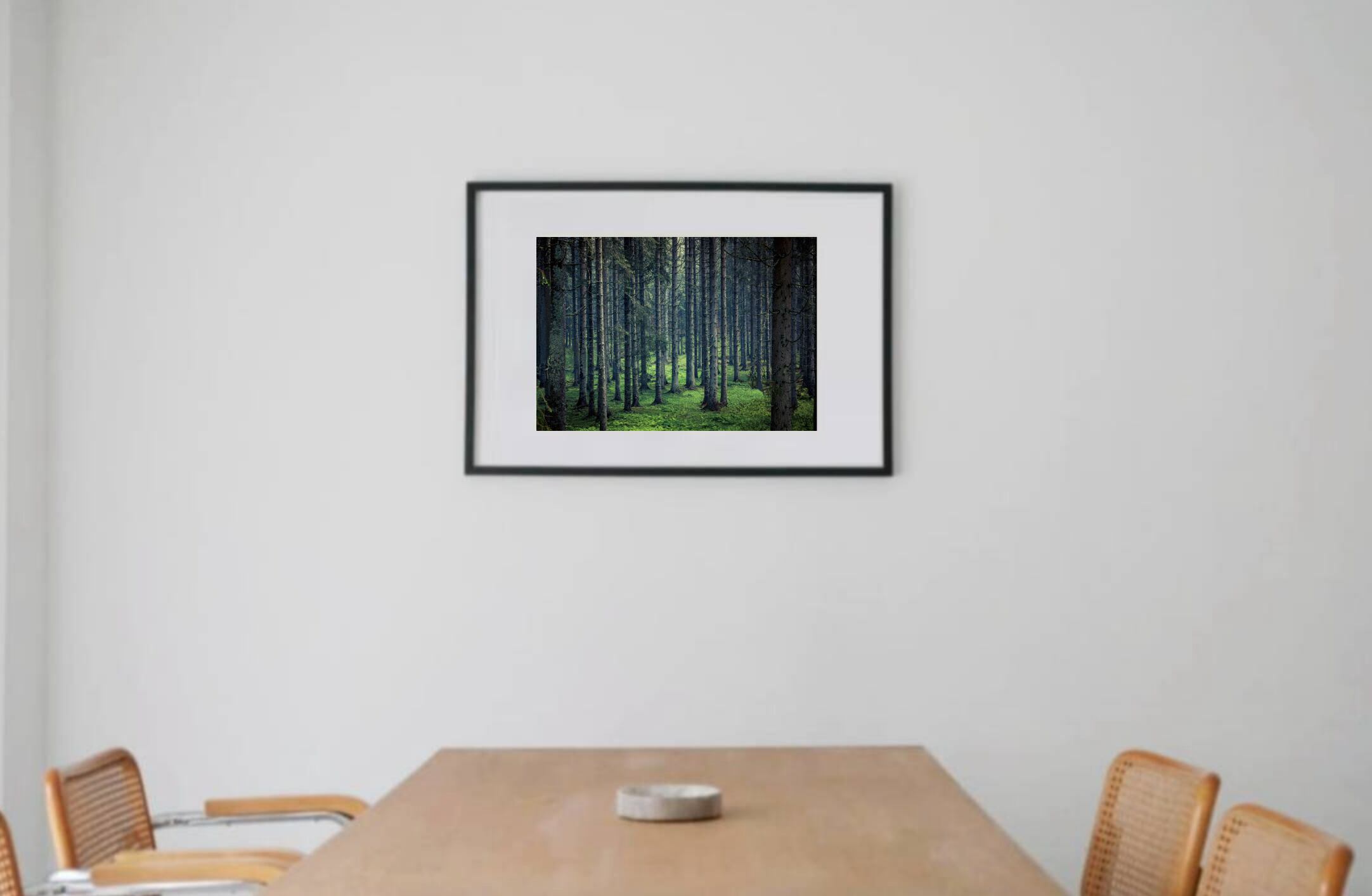 Deep Forest #3 black wooden frame 63㎝ × 93㎝付き ( LL )