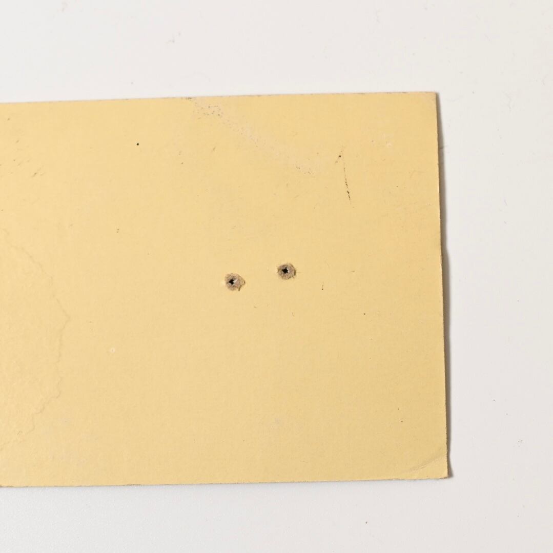 ビンテージ Levi Strauss & Co. GUARANTEE TICKET 135 #3 | Button