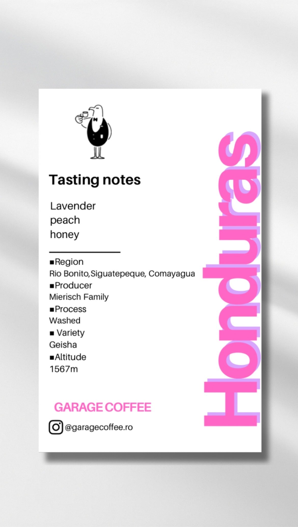 HONDURAS SANTA LUCIA CASONA GEISHA WASHED 100g