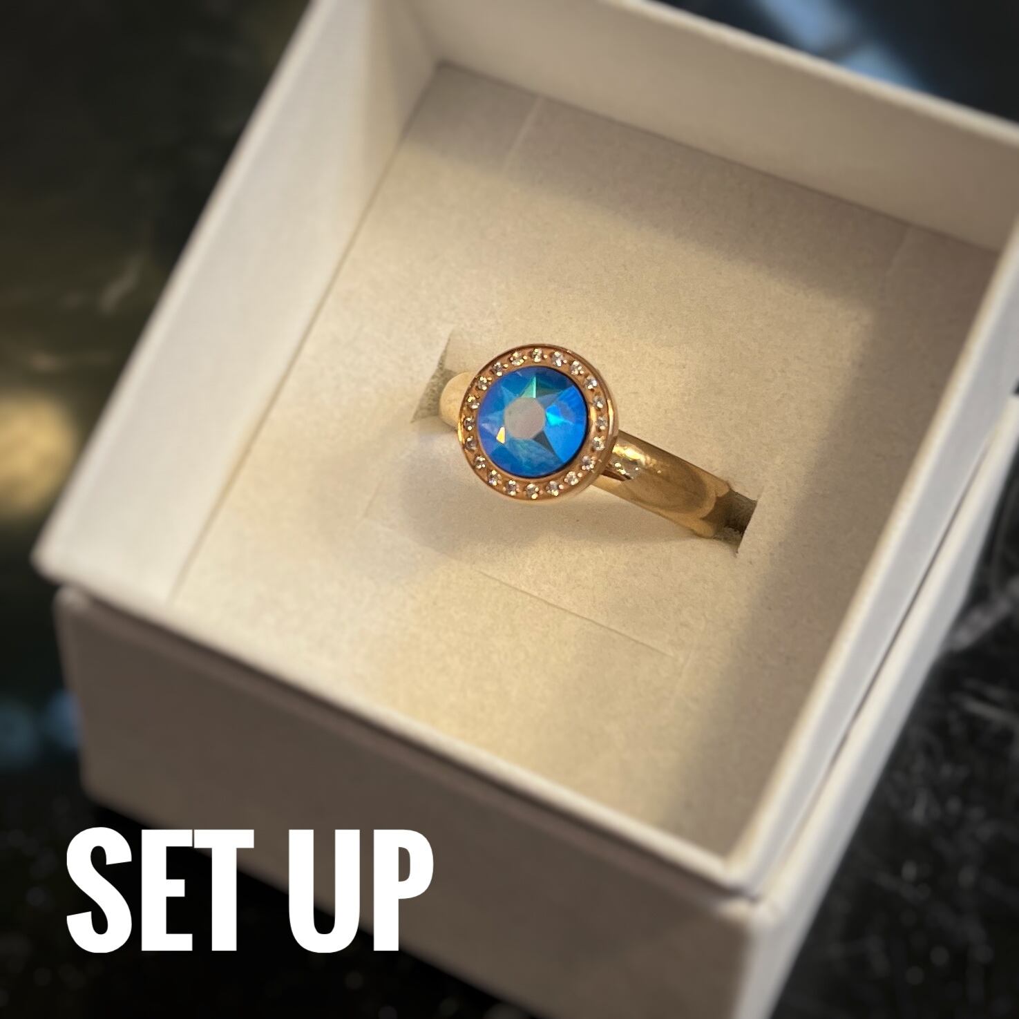 グラマーパンクス　ウォッチドッグリング　15号 GLAMOUR PUNKS（グラマーパンクス） ウォッチドッグリング 0501-0015