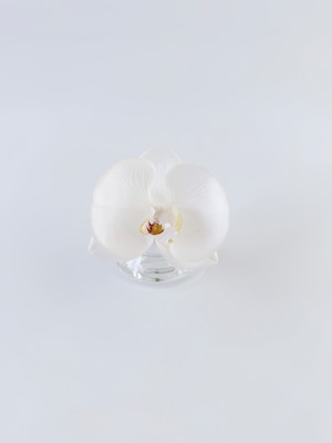 Mini 012