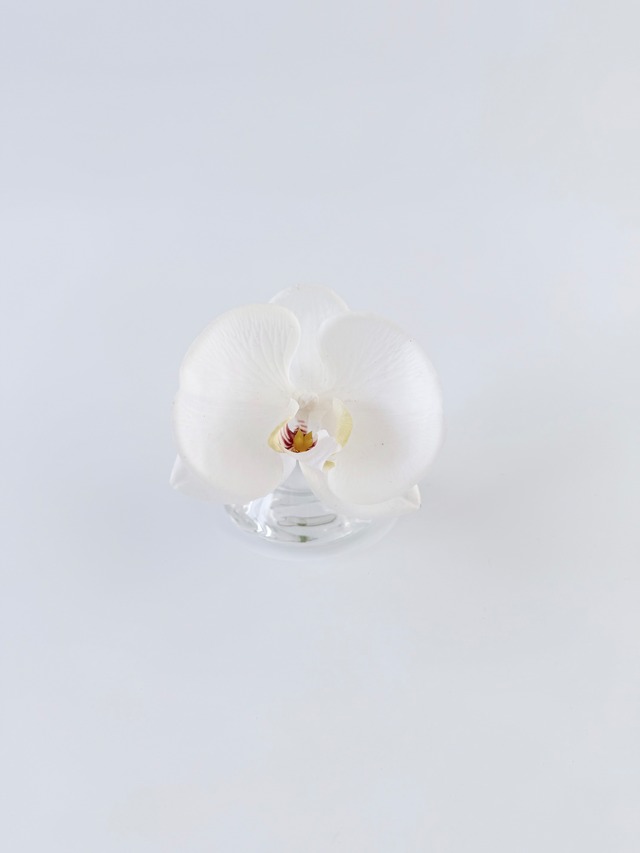 Mini 012