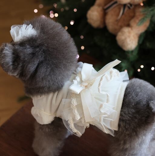 SM/即納【iloilo】Blooming TShirt (Ivory)