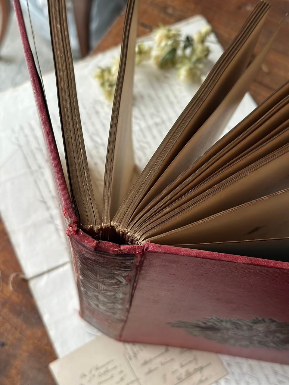 19世紀末 赤い装丁の古書 | Brocante de La Cocotte （フランス