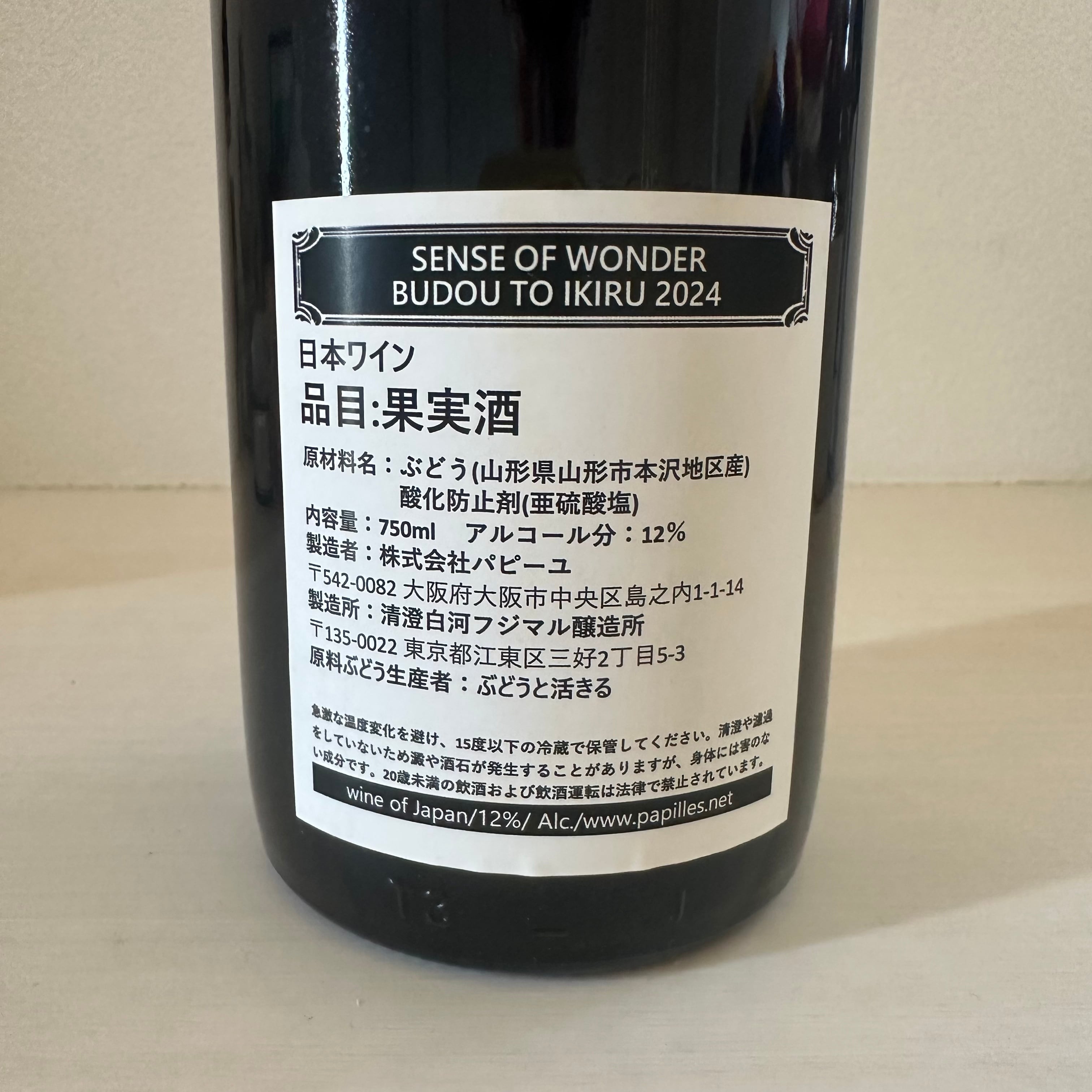 SENSE OF WONDER BUDOU TO IKIRU 2024 センス・ オブ・ワンダー 清澄