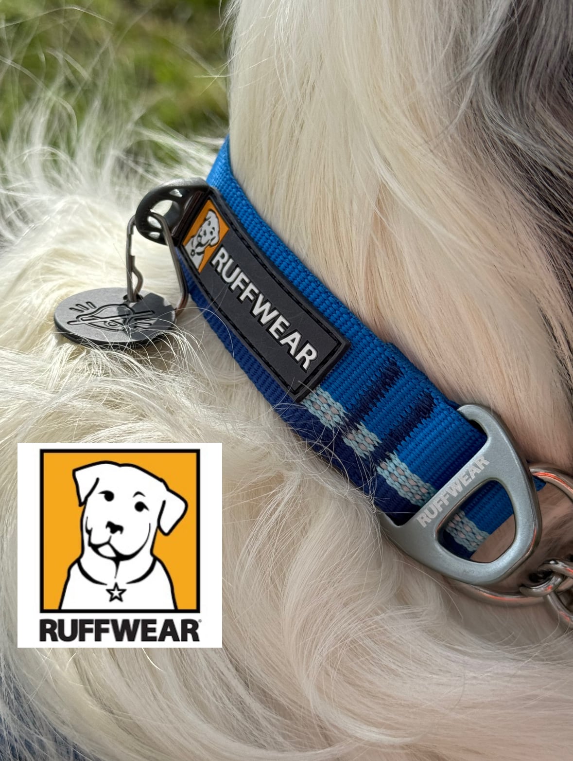RUFFWEAR/チェーンリアクションカラー/ブループール S~L | RAIMAPHOE