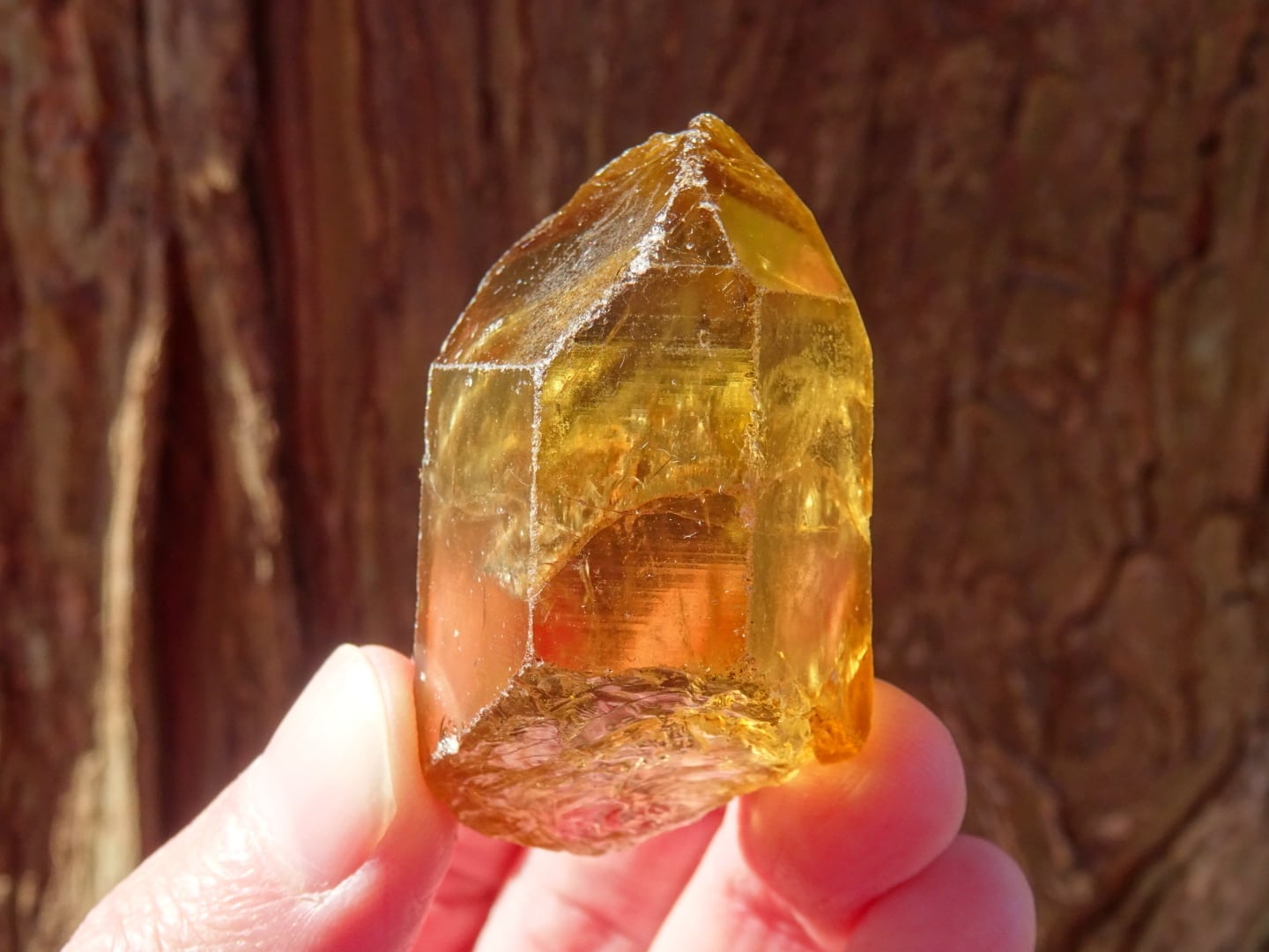 コンゴ産天然シトリン「Sons of Sun」 | 虹石屋