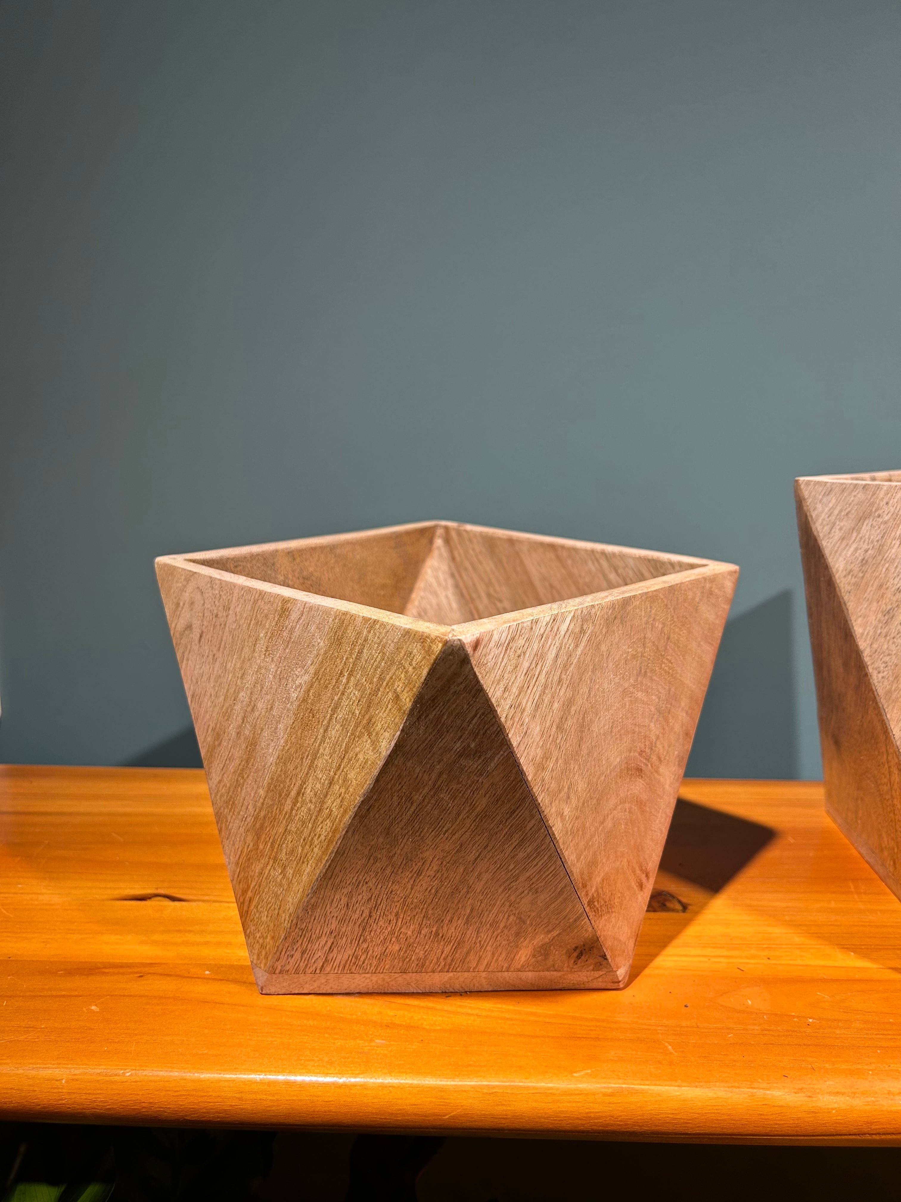 ビカクシダ 木製ボード付き ビカクシダ板付 ネザーランド | 植物との暮らし apricot