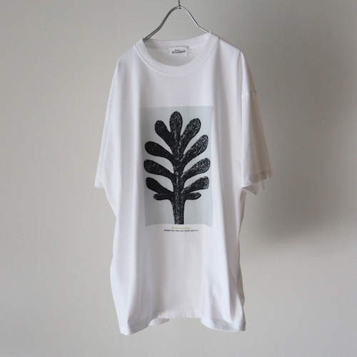 Karl Blossfeldt " Achillea umbellata  ( White )"