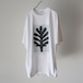 Karl Blossfeldt " Achillea umbellata  ( White )"