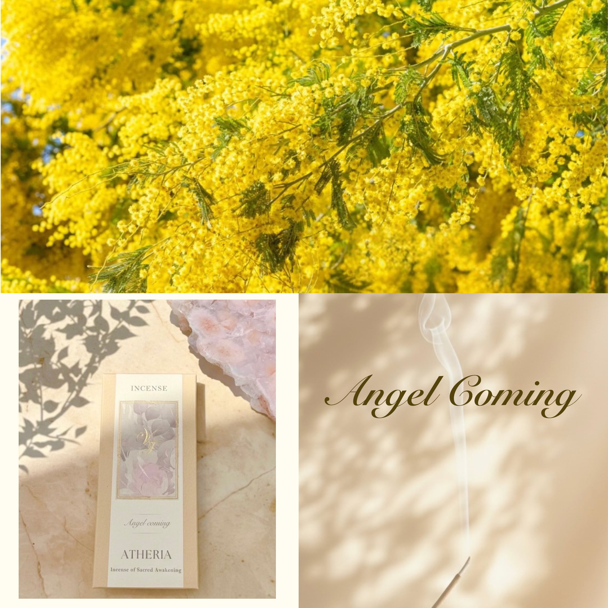 【エーテリア香】Angel coming 〜天使の軍勢〜