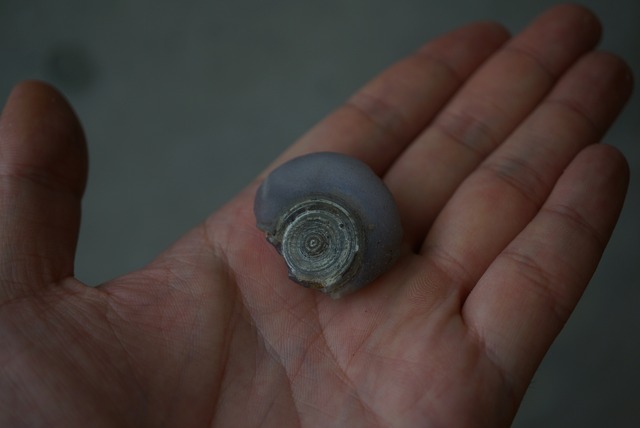 ゴビアゲート Gobi Agate 1450