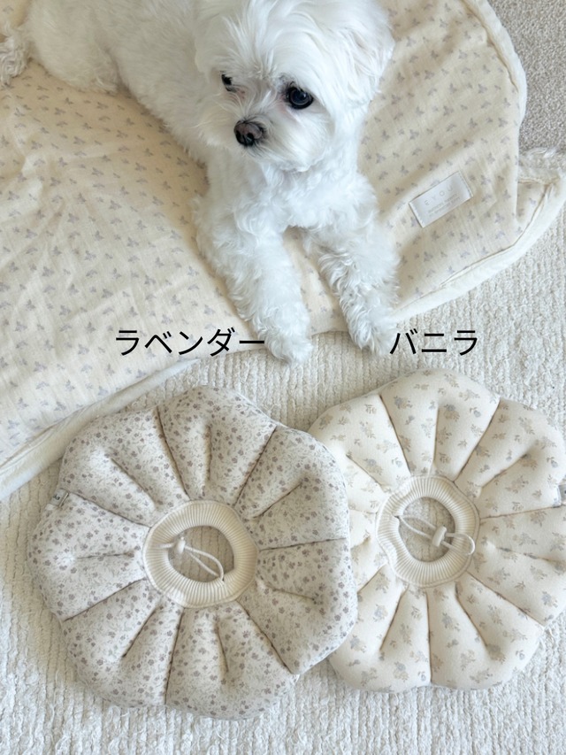 〈即納アイテム〉EYOU /ピオナネックカラー ソフトブロッサム Mサイズ