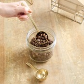 BRASS （真鍮）のコーヒーメジャースプーン（L）