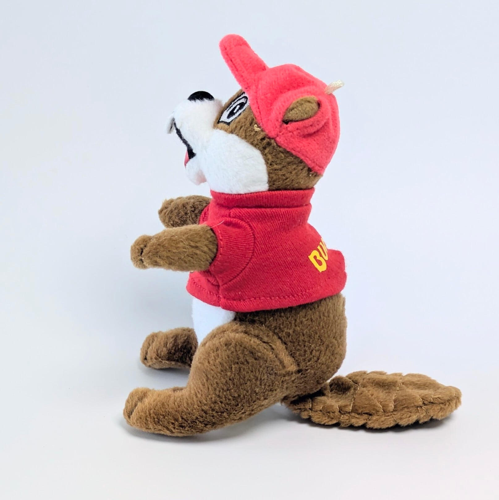 【 Buc-ee's(バッキーズ) 】 限定ミニプラッシュ / ぬいぐるみ 〚アメリカン雑貨 アメトイ〛