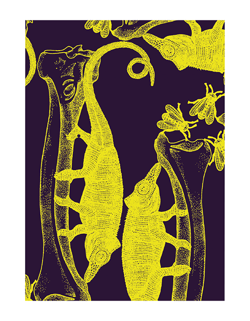 Michaël Cailloux　グリーティングカード　№67-58