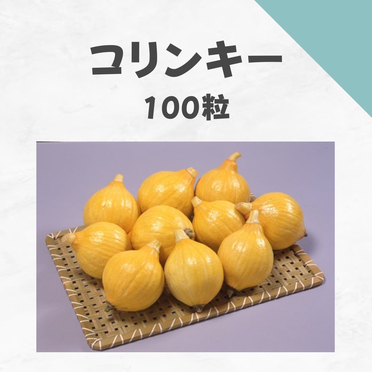 コリンキー カボチャ種子・100粒