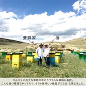 【お試し用】白いはちみつ　45g