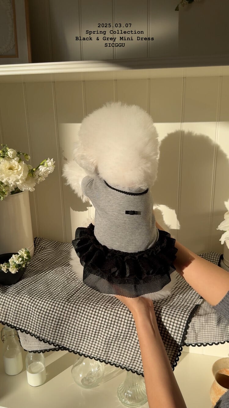 〈即納アイテム〉SICGGU ブラック&グレイ ミニドレス