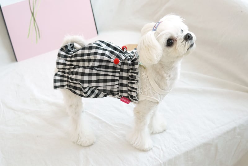 【SALE】チェックボリュームワンピース S~XL 2color / 犬の服 犬服 ワンピース ペット洋服 ドッグウェア ペット用品 小型犬 中型犬